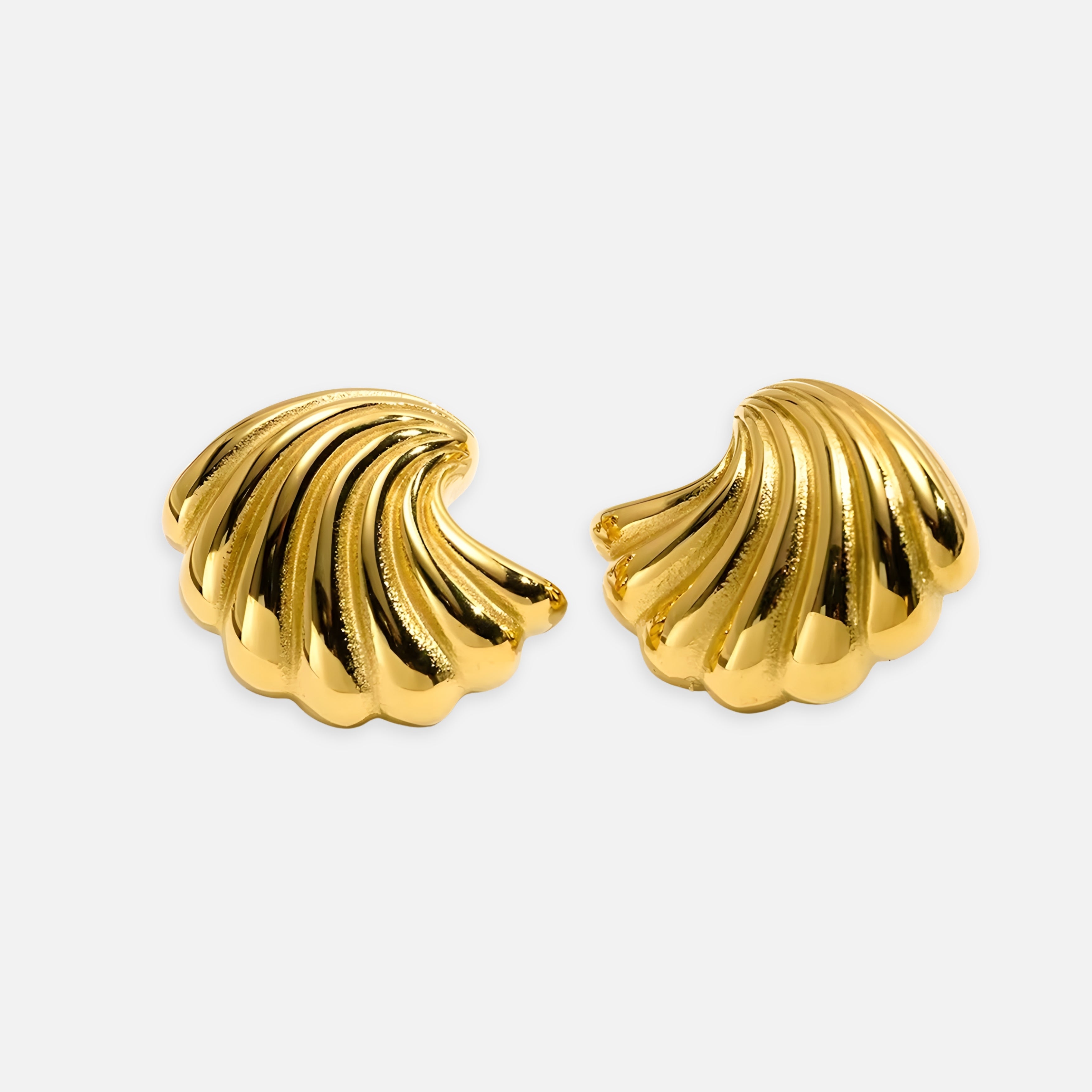 Conch Shell Earrings