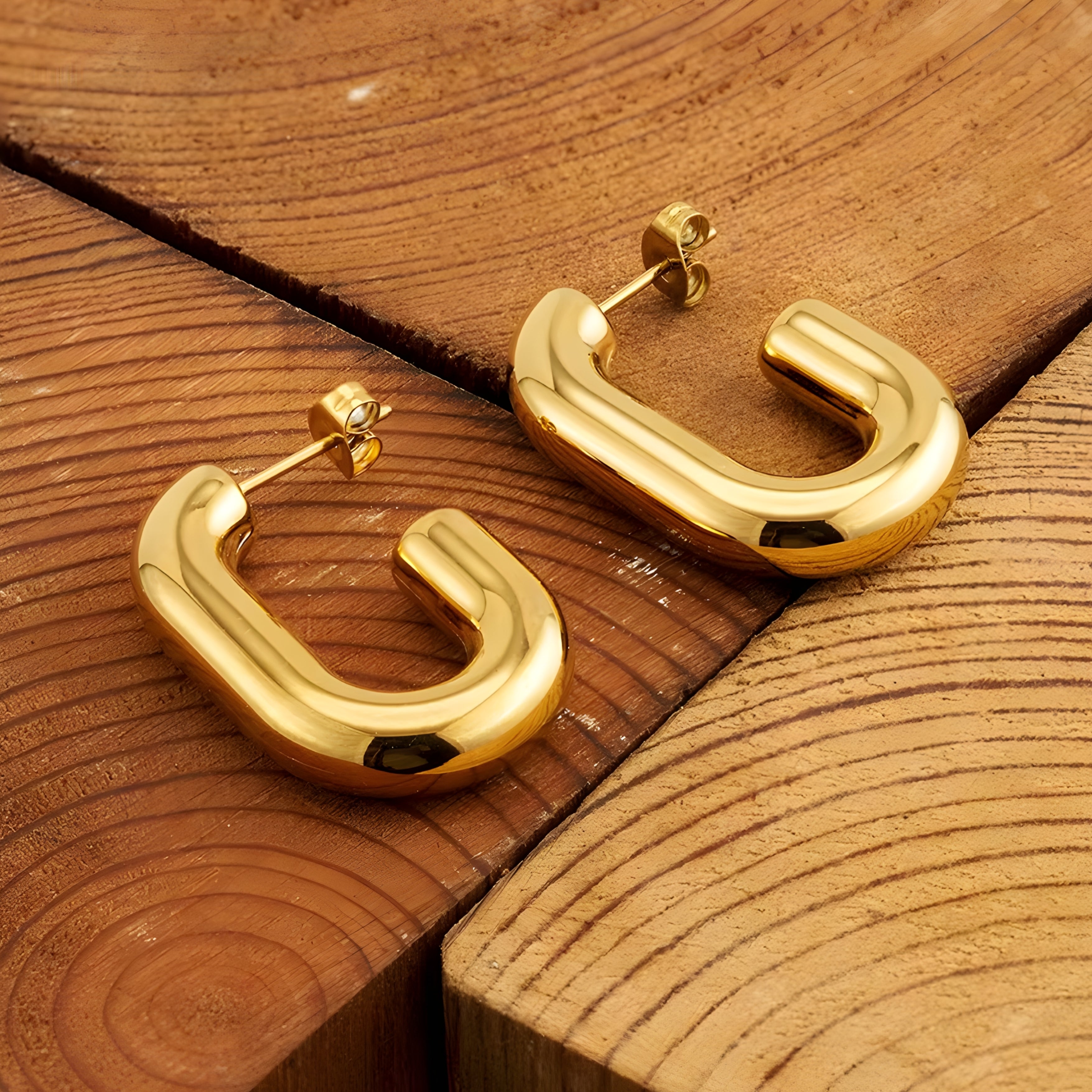 Lunox Sculpted Loop Earrings